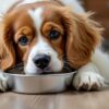 alimentation anallergique